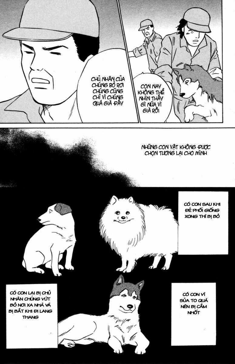 Deep Love - Pao no Monogatari - Chapter 5 - Trang 18