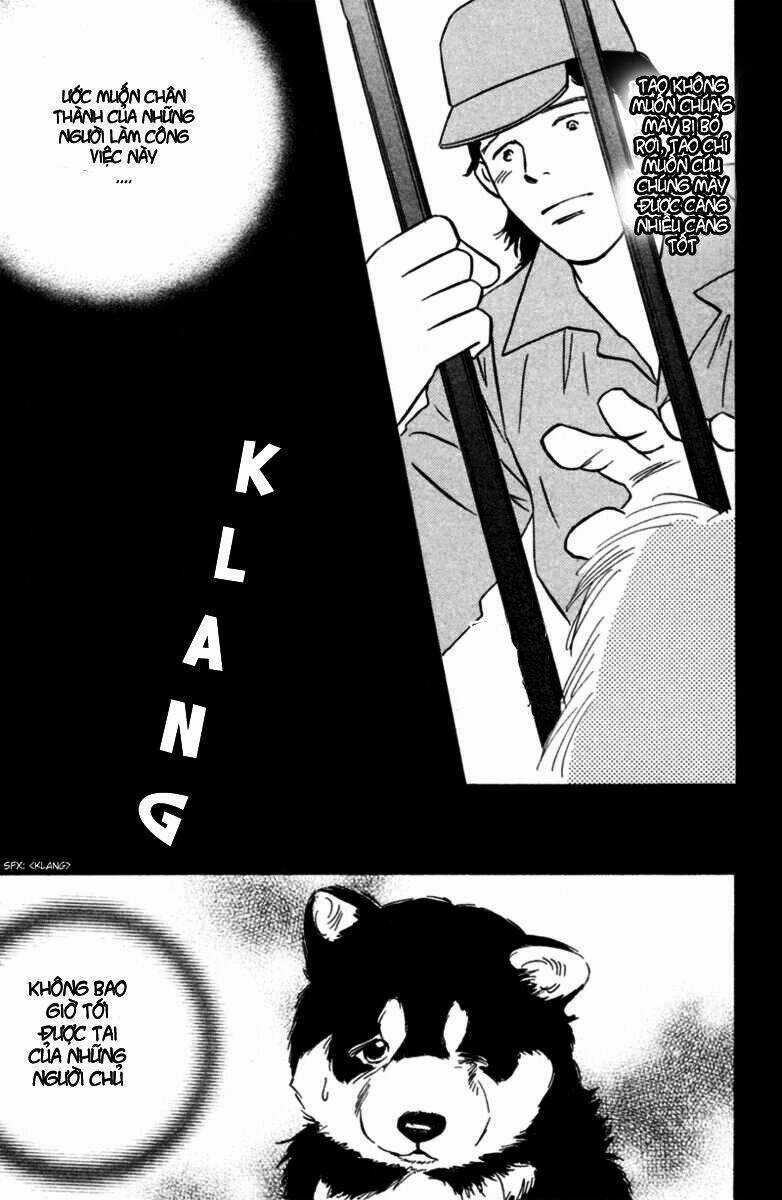 Deep Love - Pao no Monogatari - Chapter 5 - Trang 20