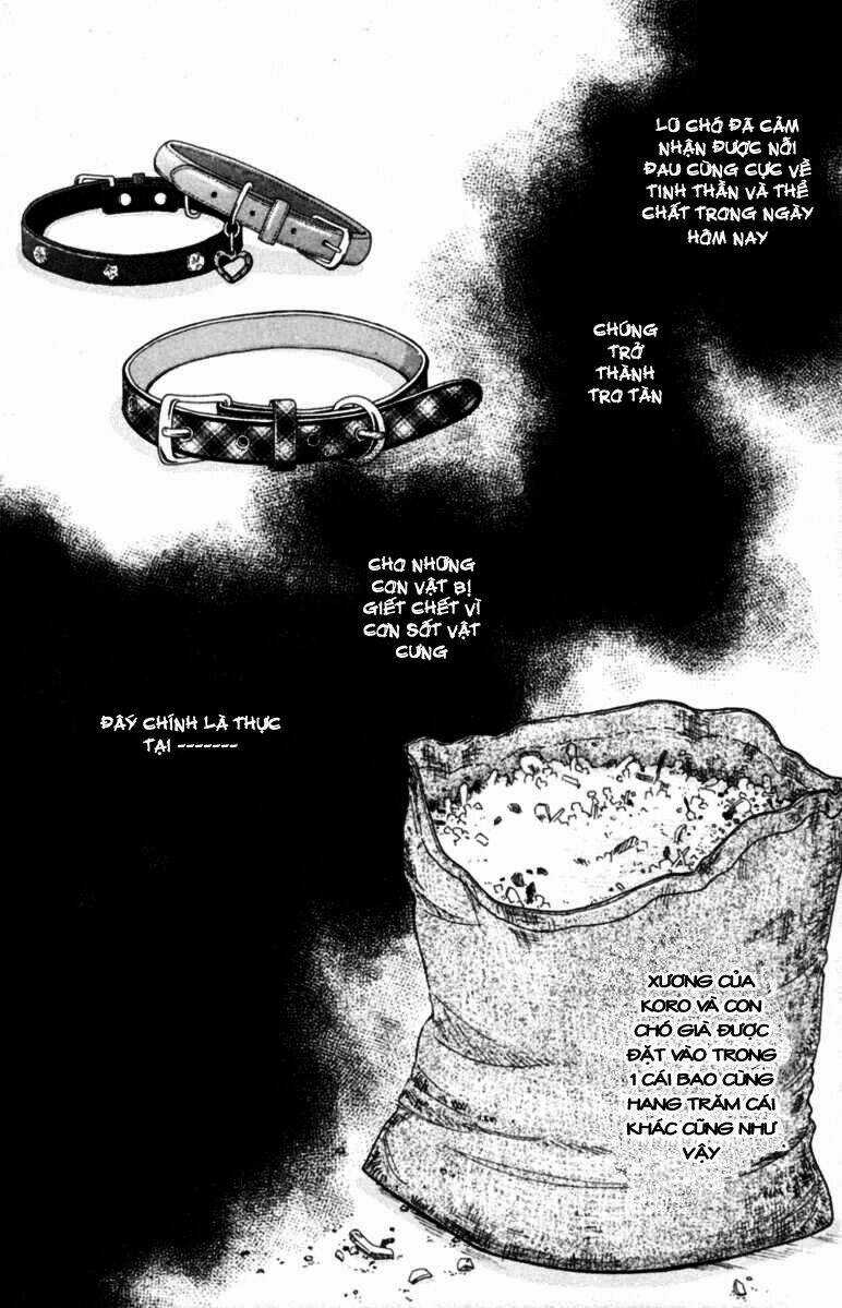 Deep Love - Pao no Monogatari - Chapter 5 - Trang 31