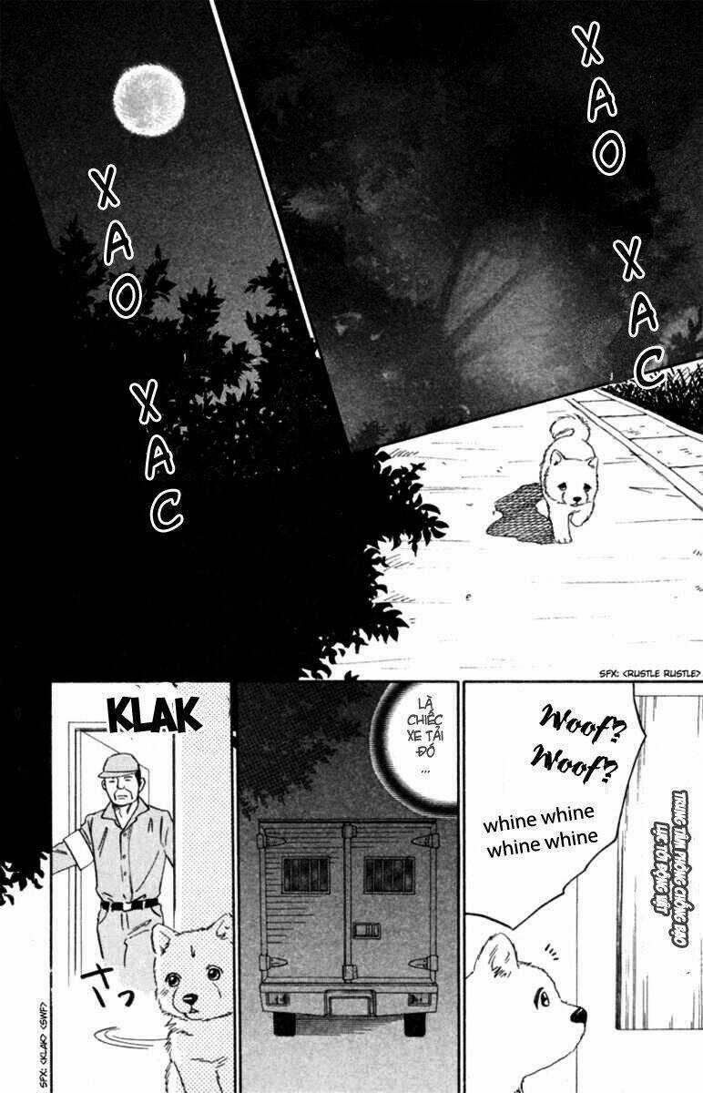 Deep Love - Pao no Monogatari - Chapter 5 - Trang 8
