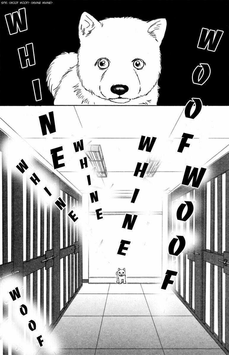 Deep Love - Pao no Monogatari - Chapter 5 - Trang 10