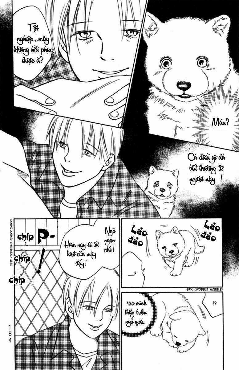 Deep Love - Pao no Monogatari - Chapter 6 - Trang 15