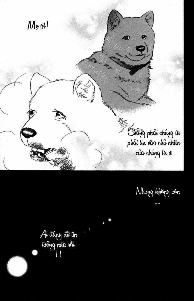 Deep Love - Pao no Monogatari - Chapter 6 - Trang 24