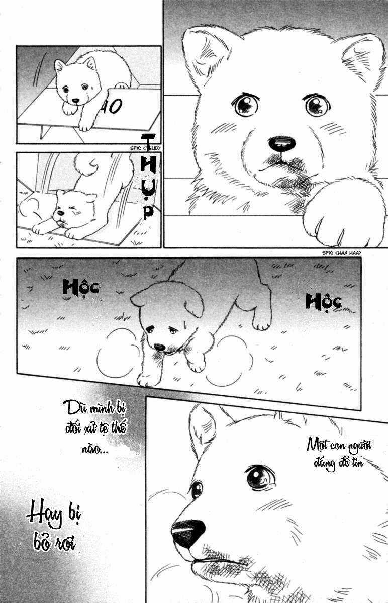 Deep Love - Pao no Monogatari - Chapter 6 - Trang 33