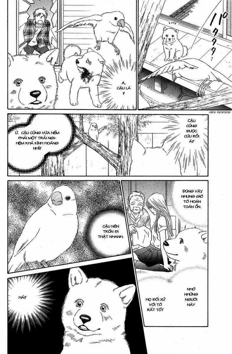 Deep Love - Pao no Monogatari - Chapter 7 - Trang 25