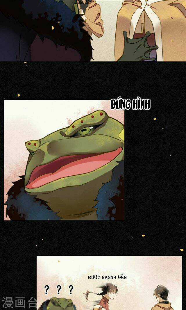 Đêm Ảo Mộng Cực Lạc - Chapter 11 - Trang 12