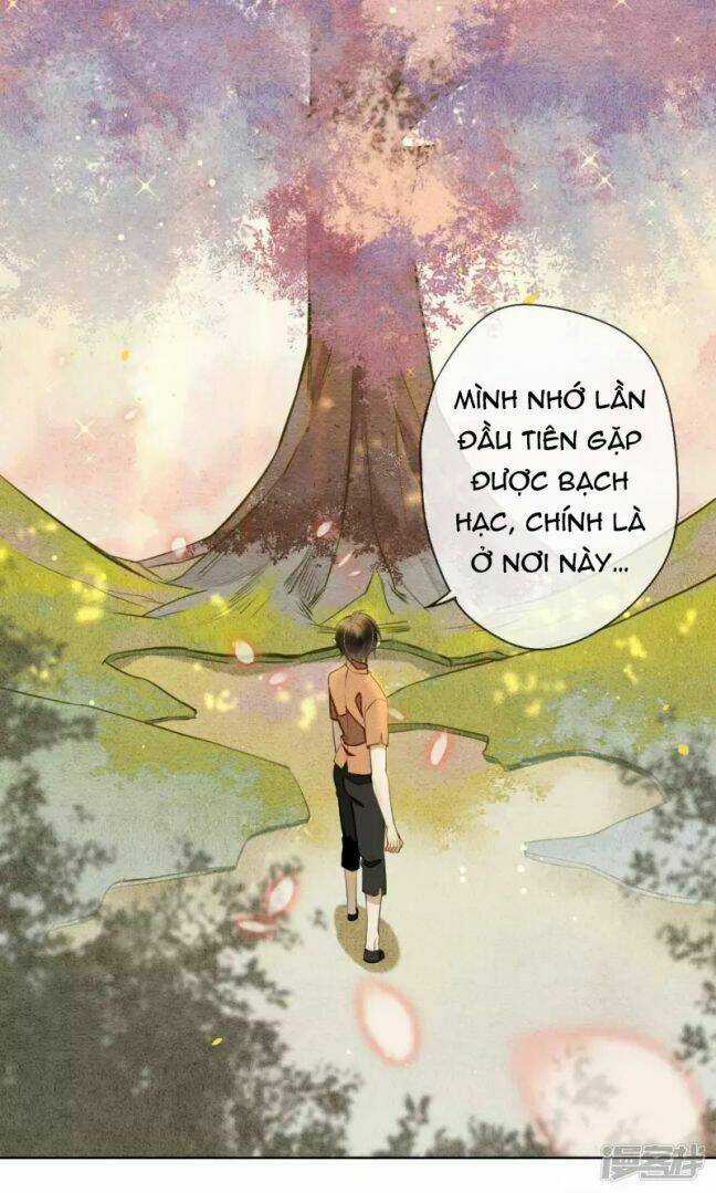 Đêm Ảo Mộng Cực Lạc - Chapter 27 - Trang 24