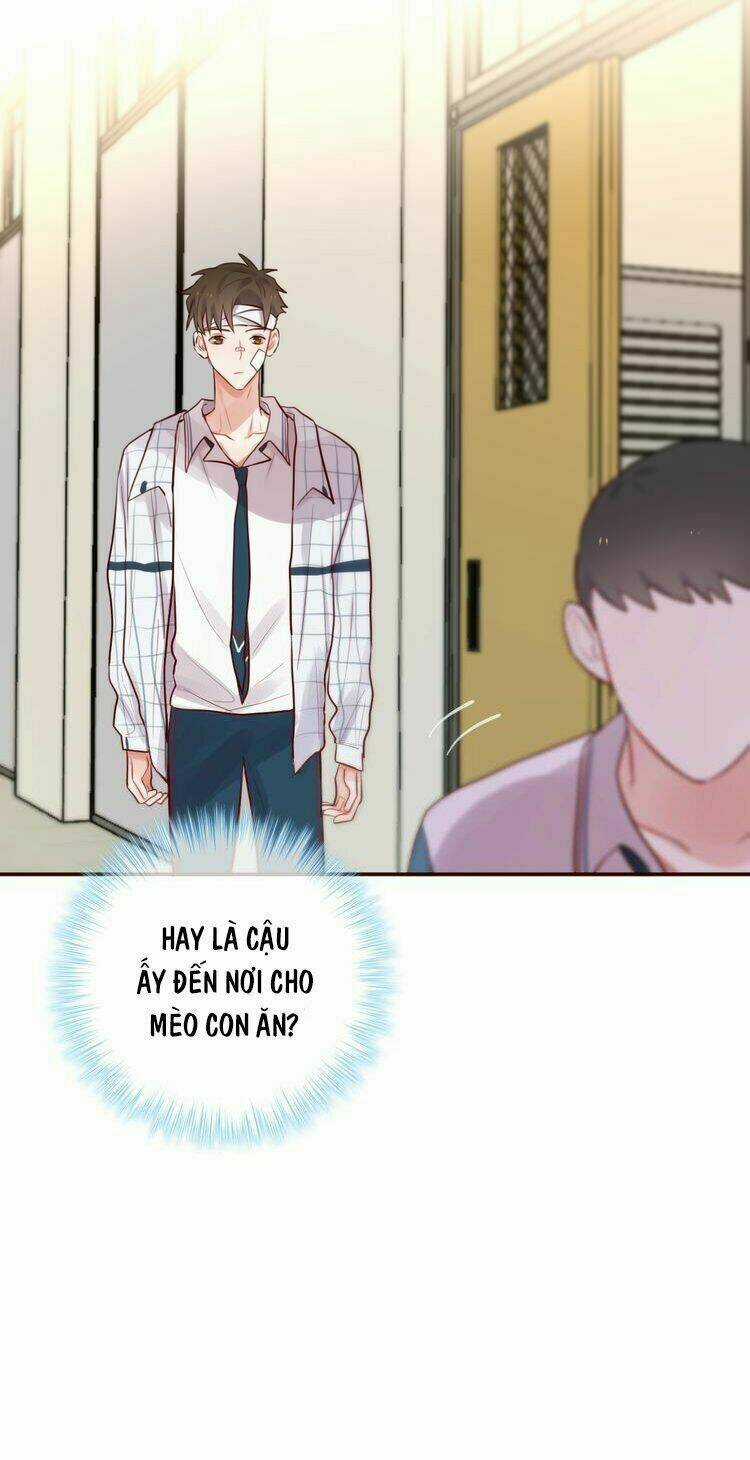 Đêm Ngày Không Dứt - Chapter 16 - Trang 32