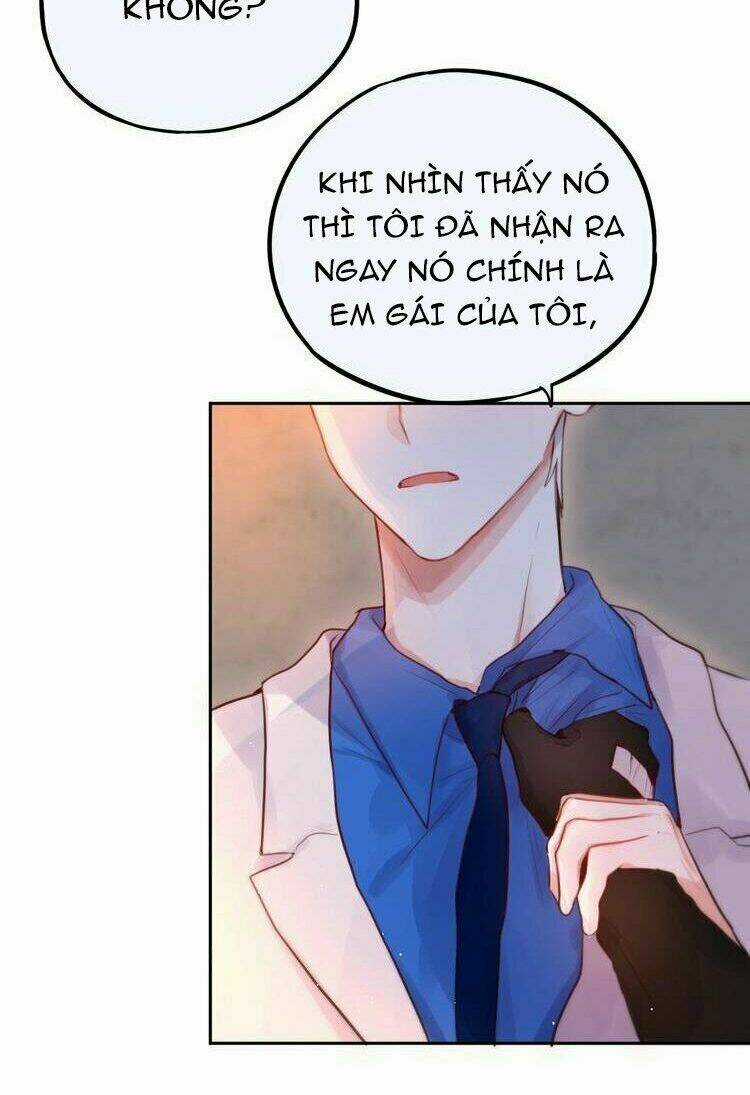 Đêm Ngày Không Dứt - Chapter 31 - Trang 28