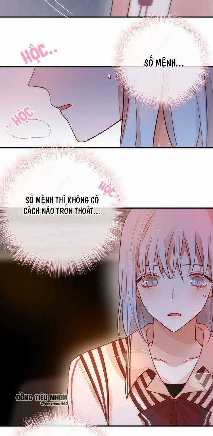 Đêm Ngày Không Dứt - Chapter 8 - Trang 19