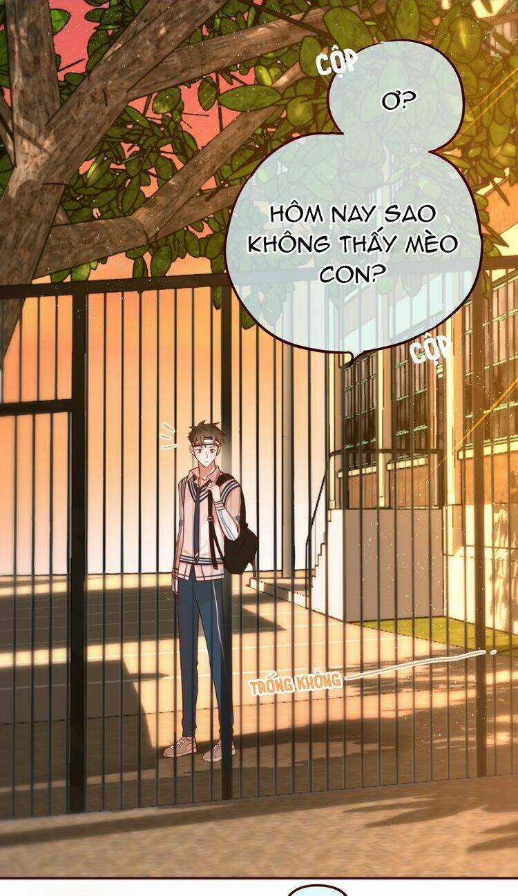 Đêm Ngày Không Dứt - Chapter 9 - Trang 13