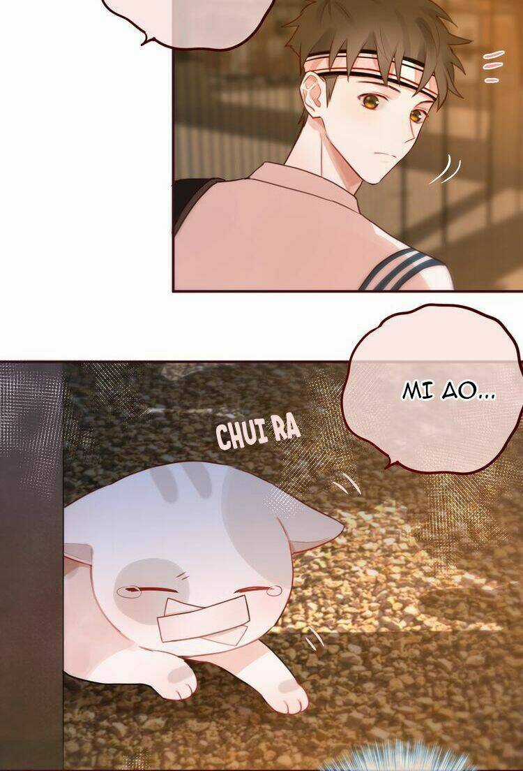 Đêm Ngày Không Dứt - Chapter 9 - Trang 15