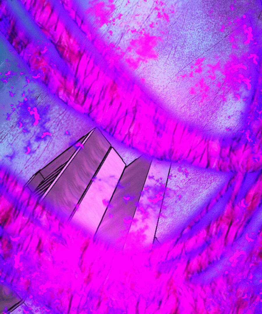 Deor! - Chapter 64 - Trang 31