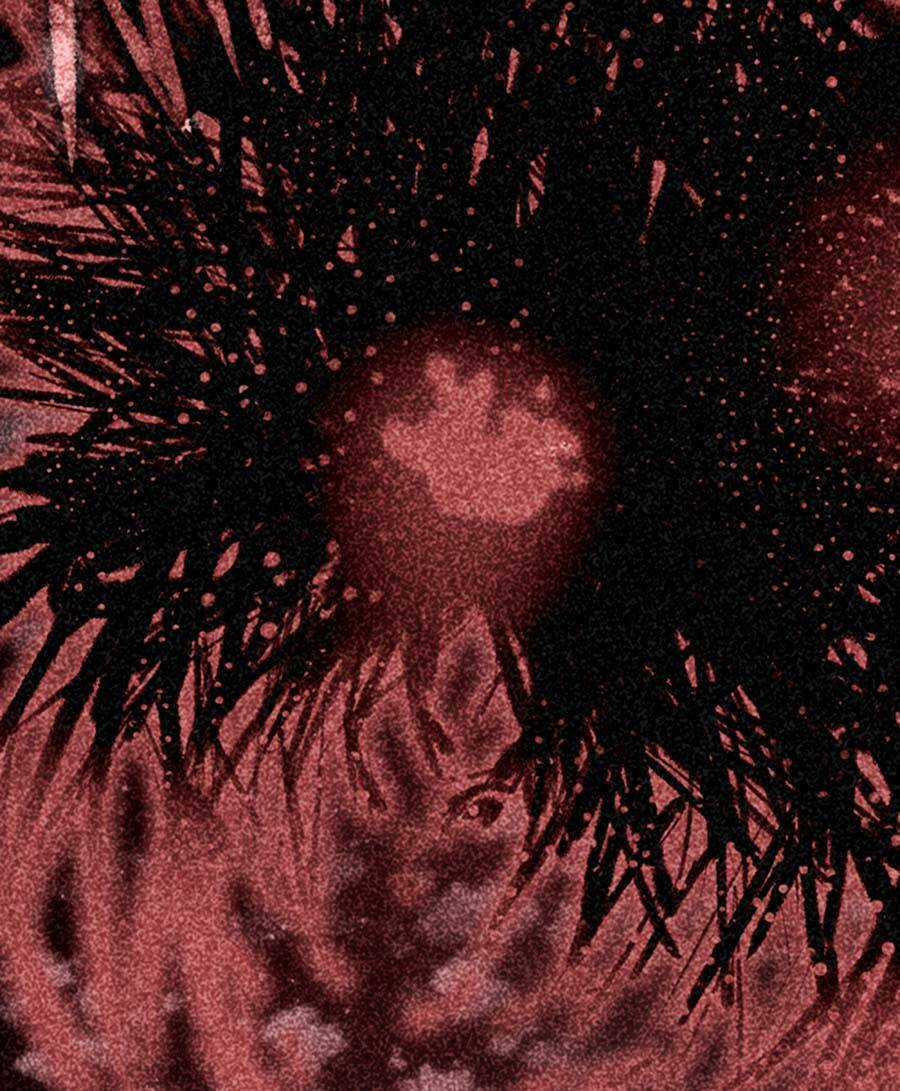 Deor! - Chapter 66 - Trang 51