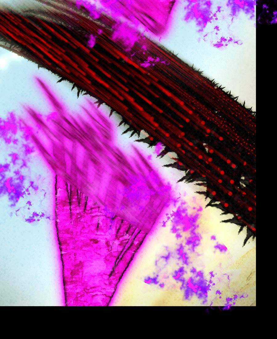 Deor! - Chapter 67 - Trang 10