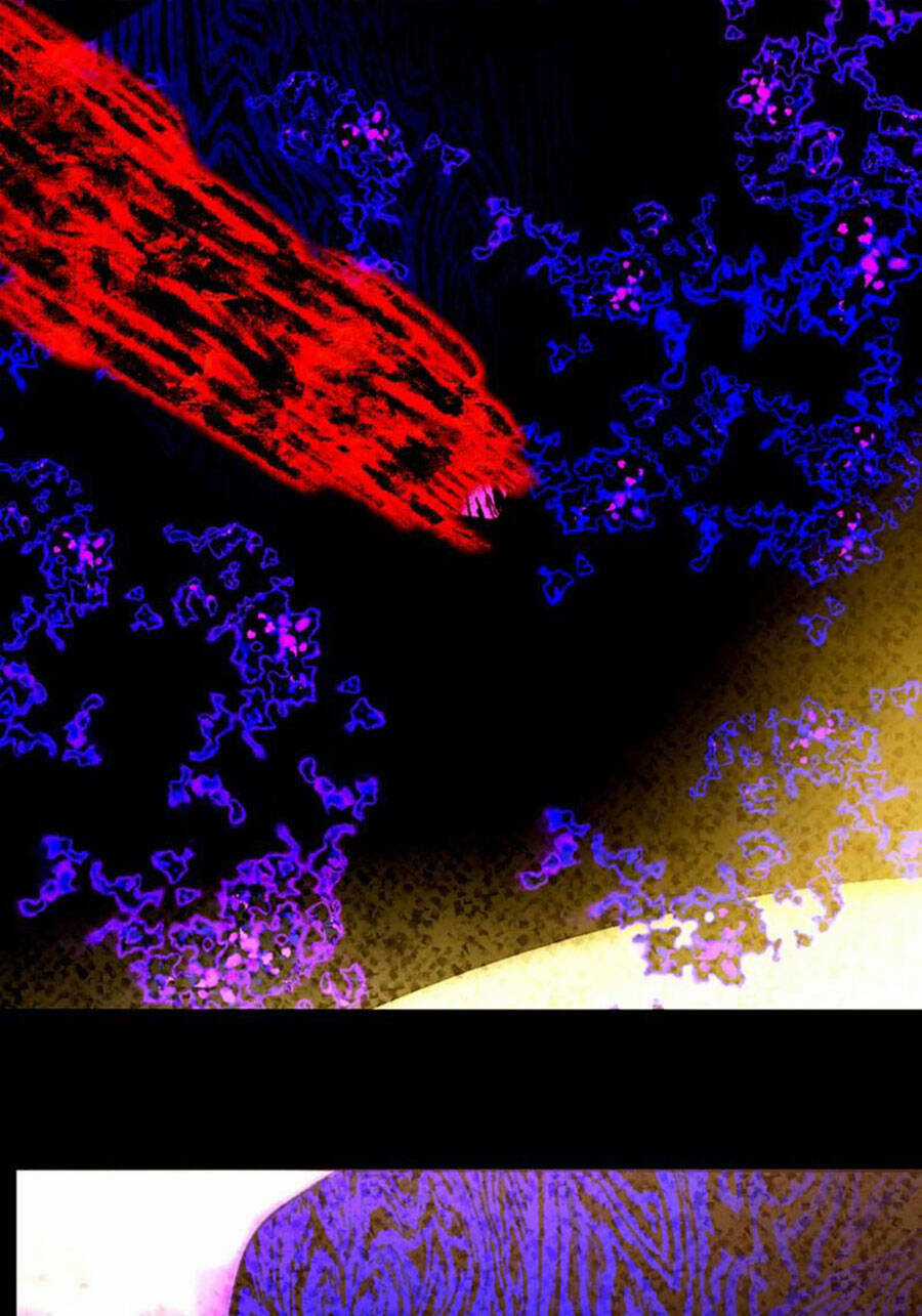 Deor! - Chapter 78 - Trang 4