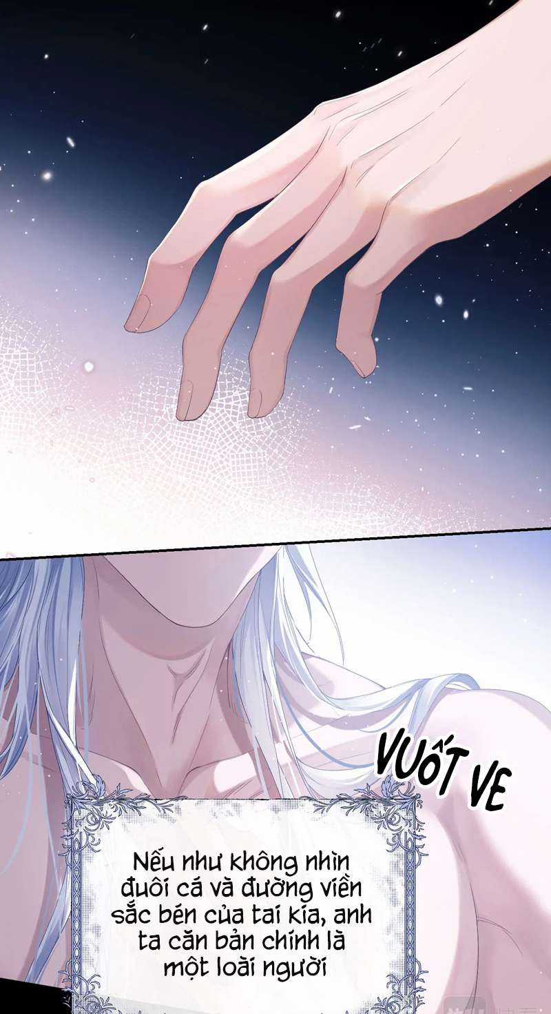 Desharow Nhân Ngư - Chapter 1 - Trang 33