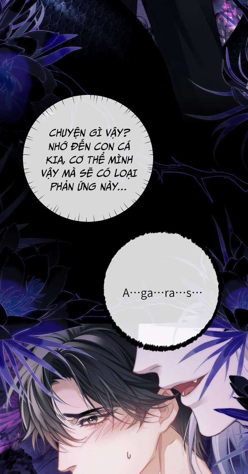 Desharow Nhân Ngư - Chapter 11 - Trang 33