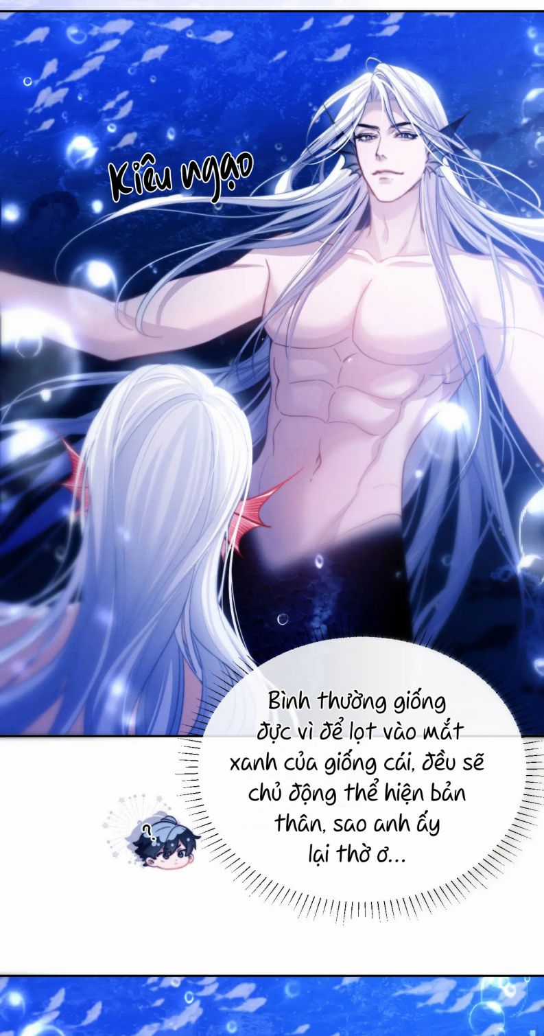 Desharow Nhân Ngư - Chapter 12 - Trang 19