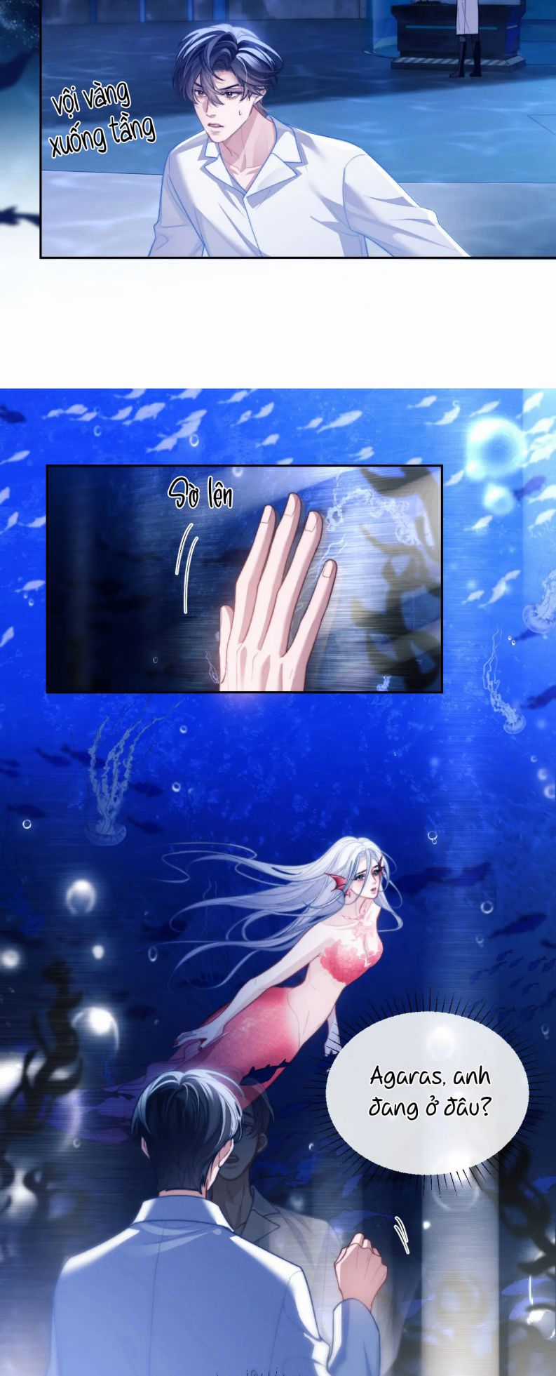 Desharow Nhân Ngư - Chapter 12 - Trang 30