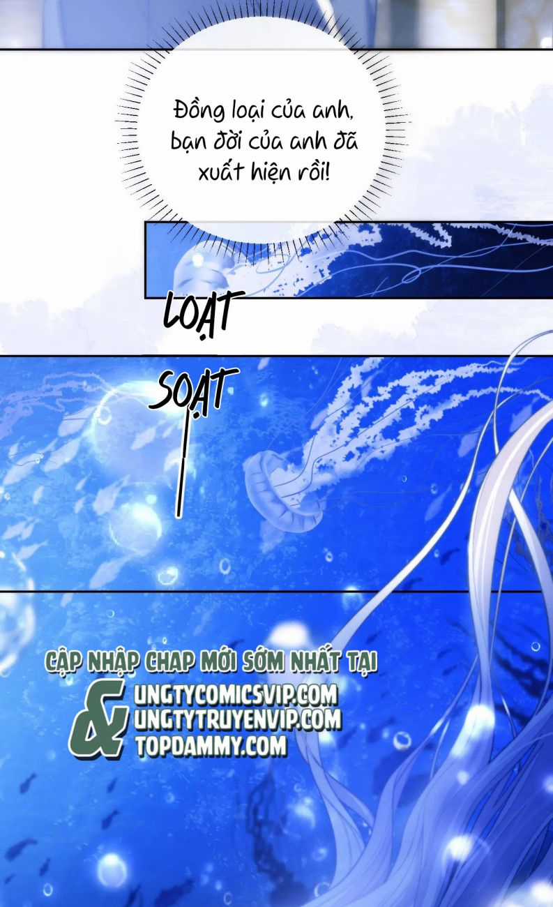 Desharow Nhân Ngư - Chapter 12 - Trang 32
