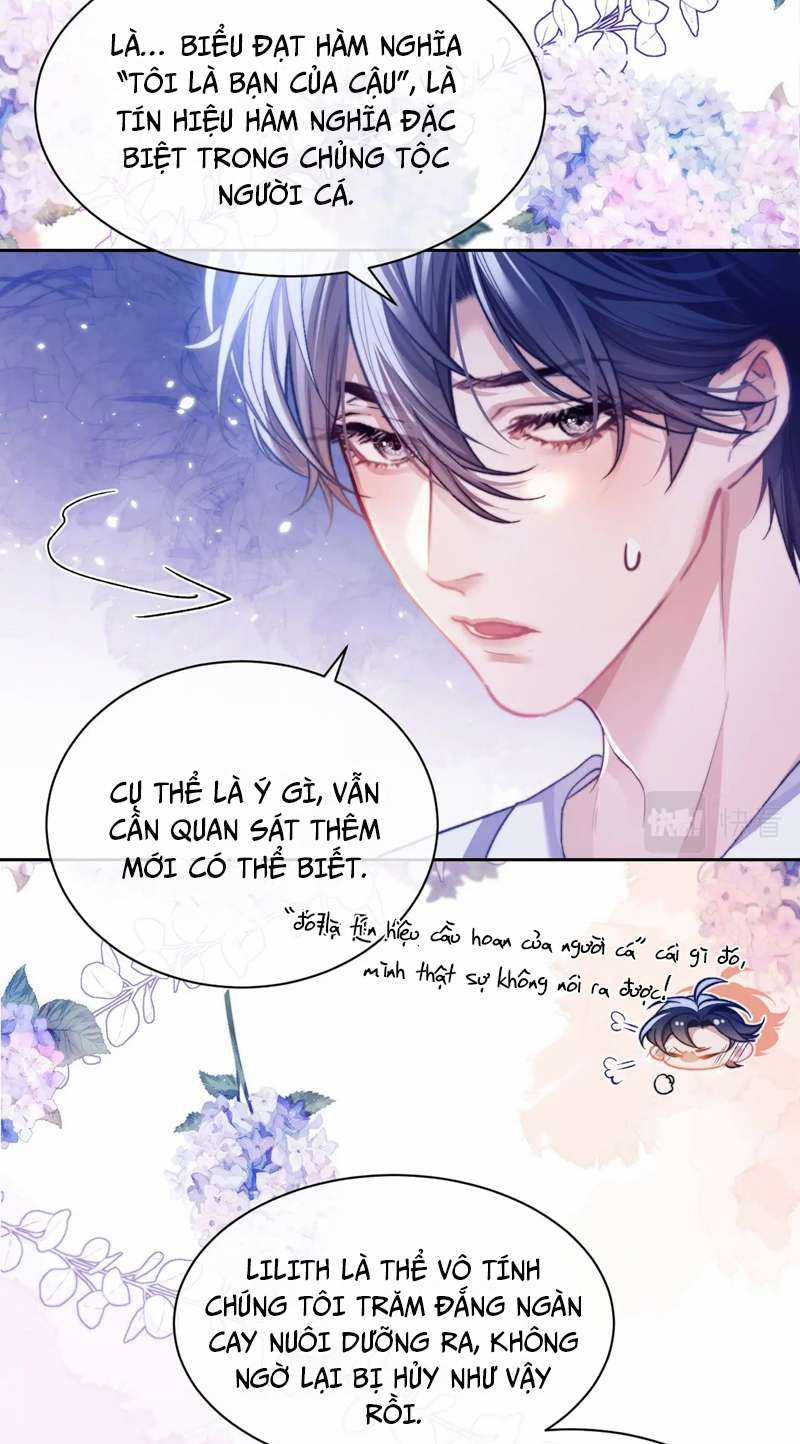 Desharow Nhân Ngư - Chapter 13 - Trang 3