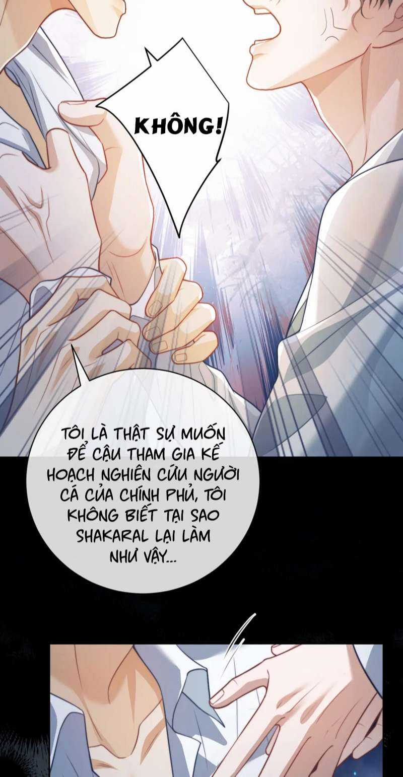 Desharow Nhân Ngư - Chapter 20 - Trang 12