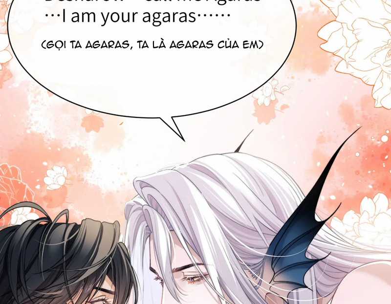 Desharow Nhân Ngư - Chapter 22 - Trang 21