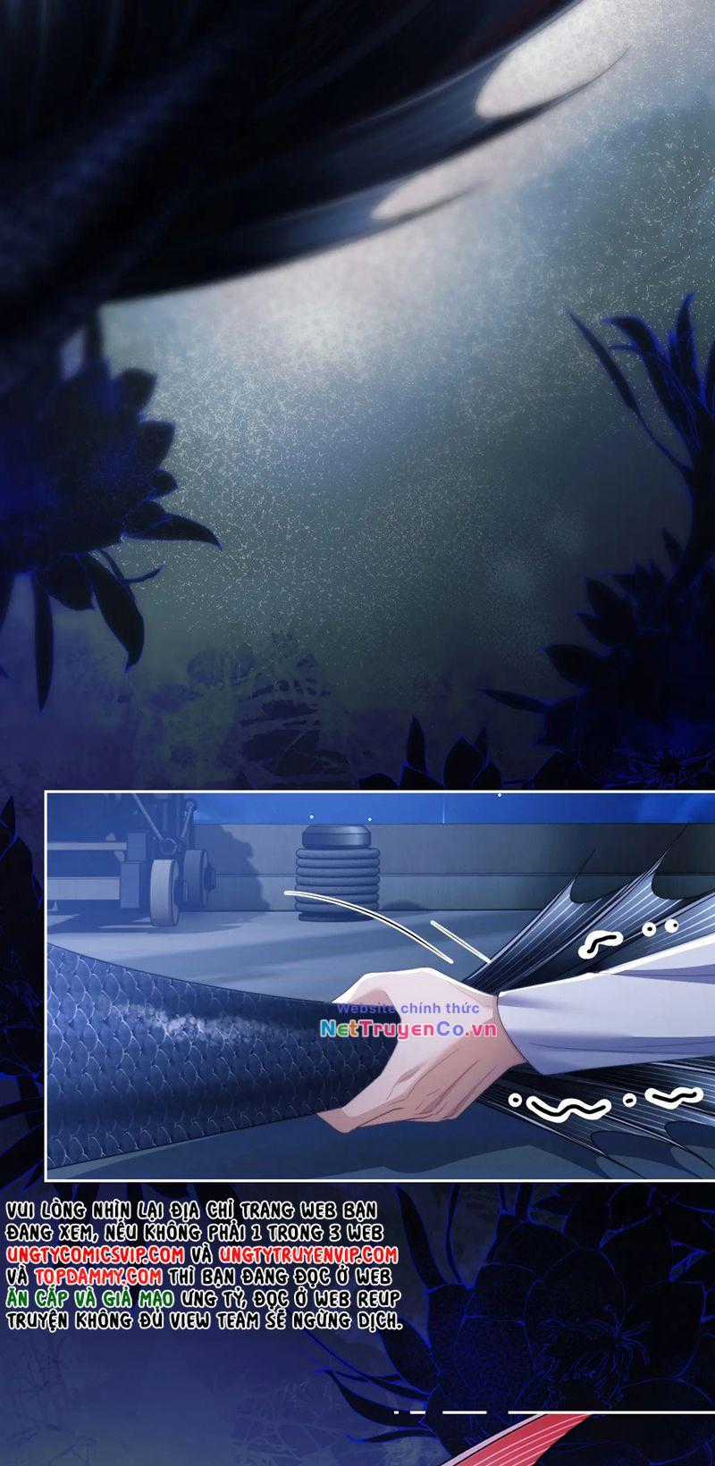 Desharow Nhân Ngư - Chapter 25 - Trang 16