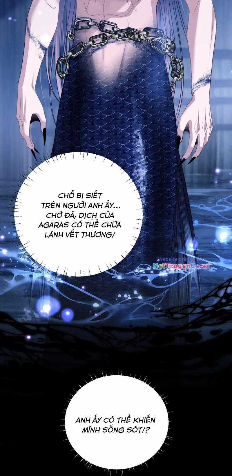 Desharow Nhân Ngư - Chapter 25 - Trang 26