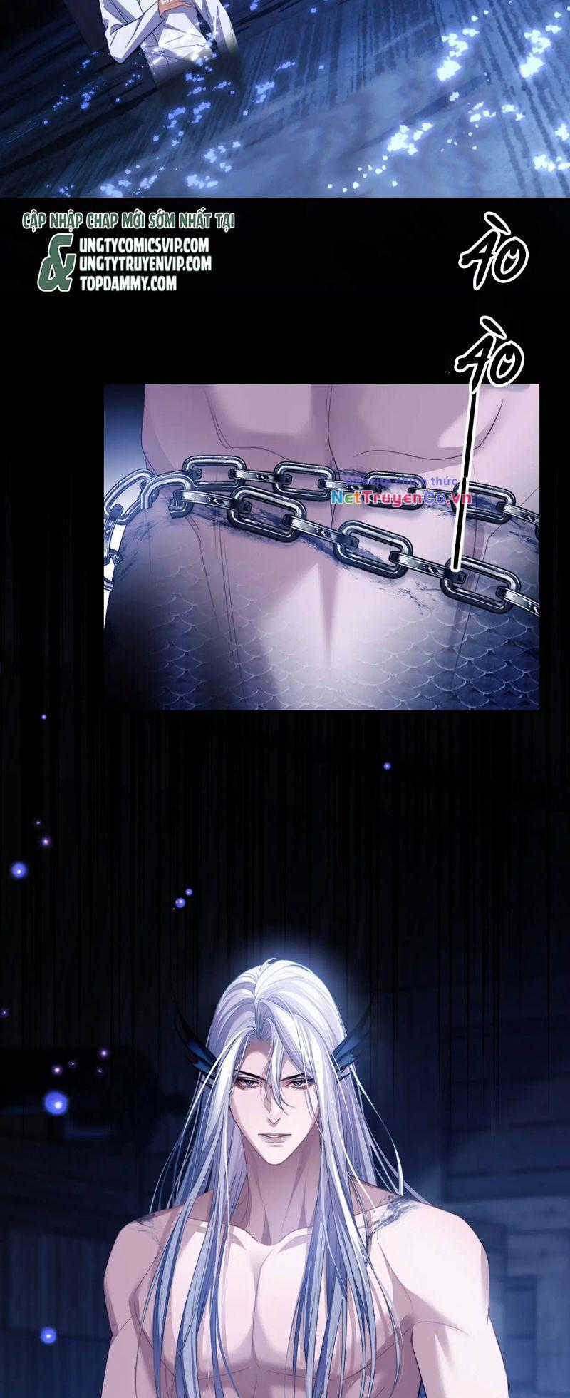 Desharow Nhân Ngư - Chapter 26 - Trang 2