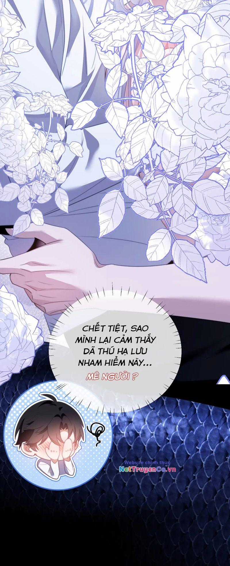 Desharow Nhân Ngư - Chapter 26 - Trang 14