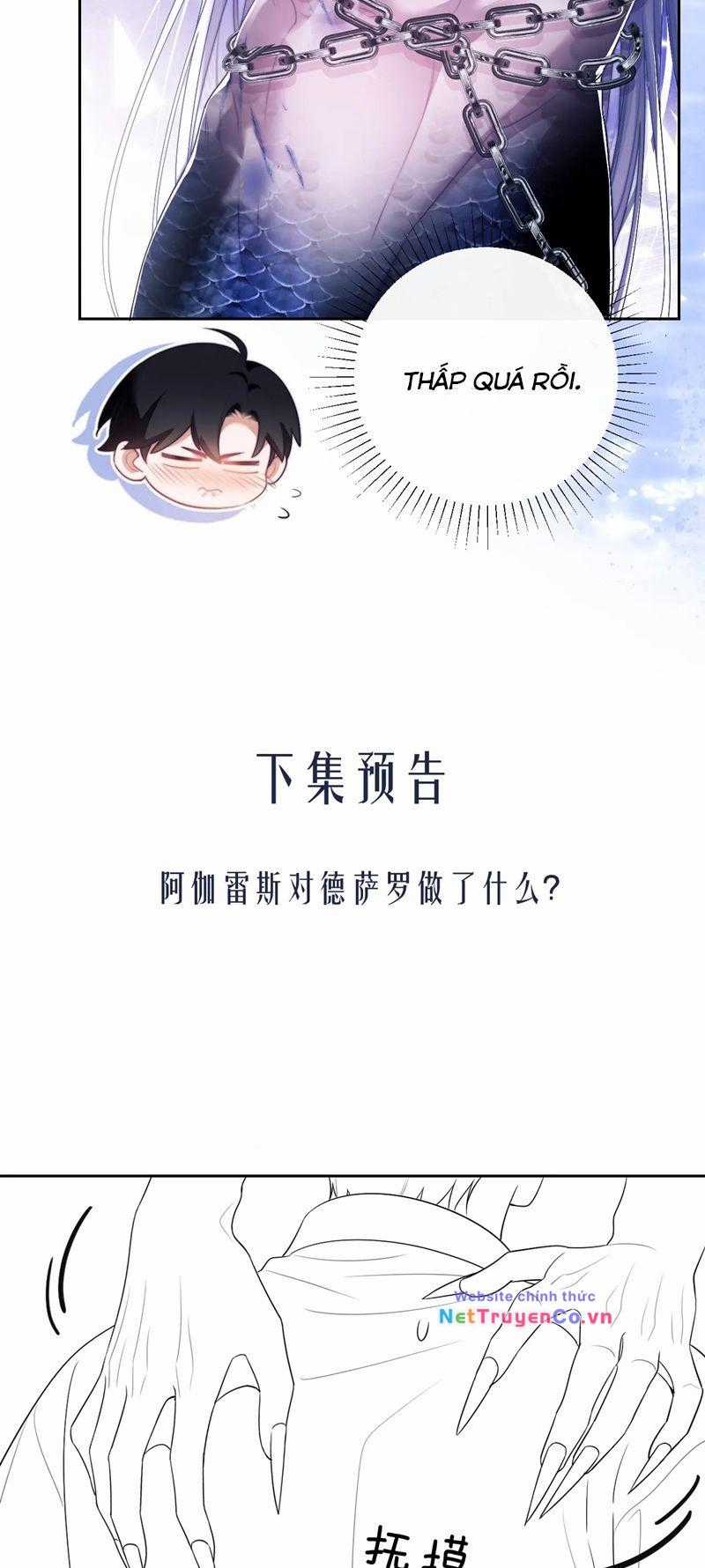 Desharow Nhân Ngư - Chapter 26 - Trang 26