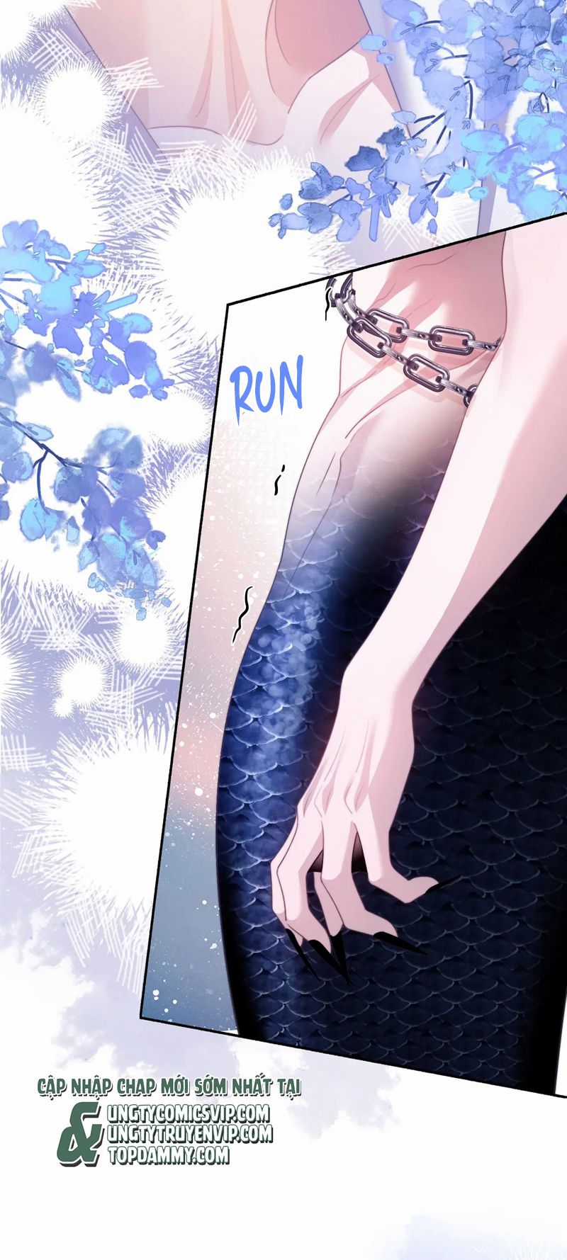 Desharow Nhân Ngư - Chapter 27 - Trang 7