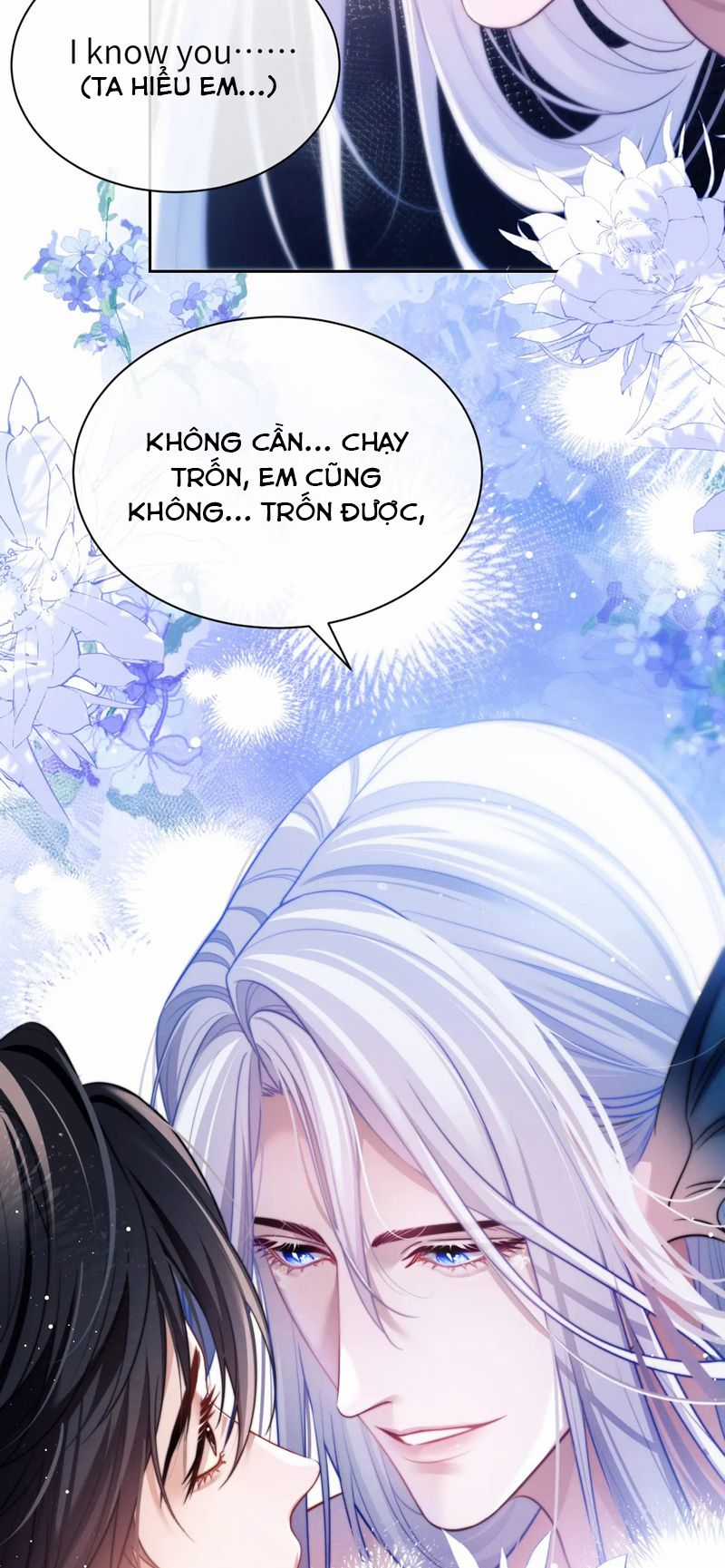 Desharow Nhân Ngư - Chapter 29 - Trang 12