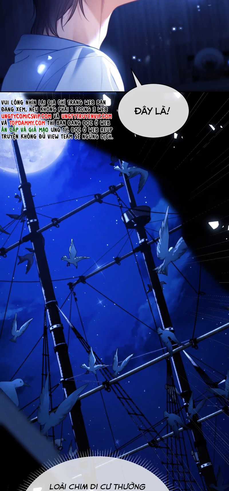 Desharow Nhân Ngư - Chapter 29 - Trang 16