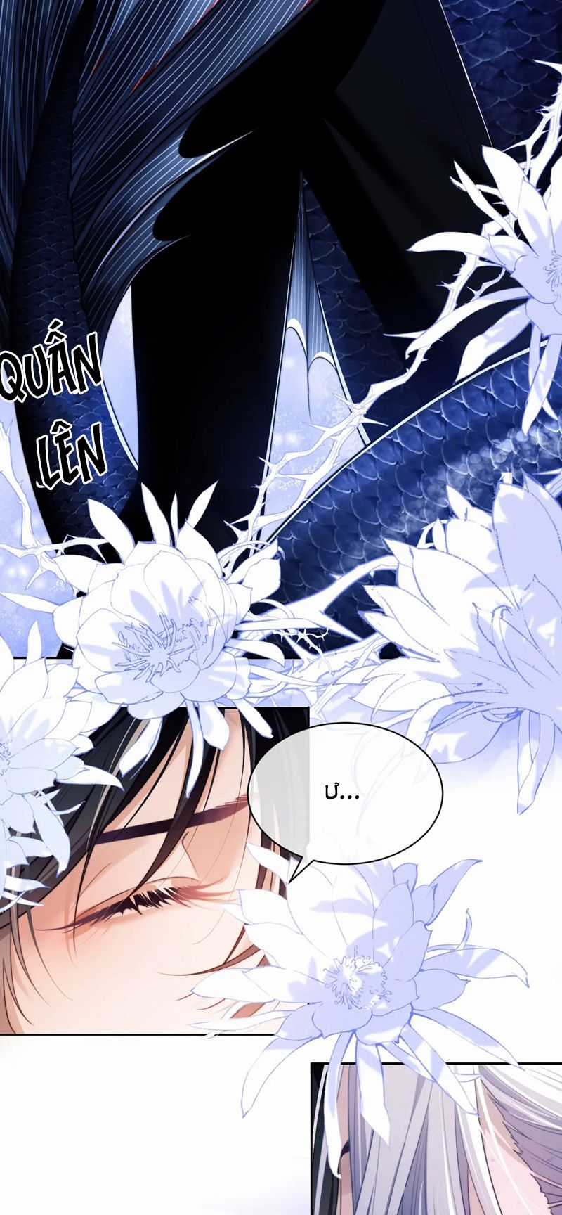 Desharow Nhân Ngư - Chapter 29 - Trang 6