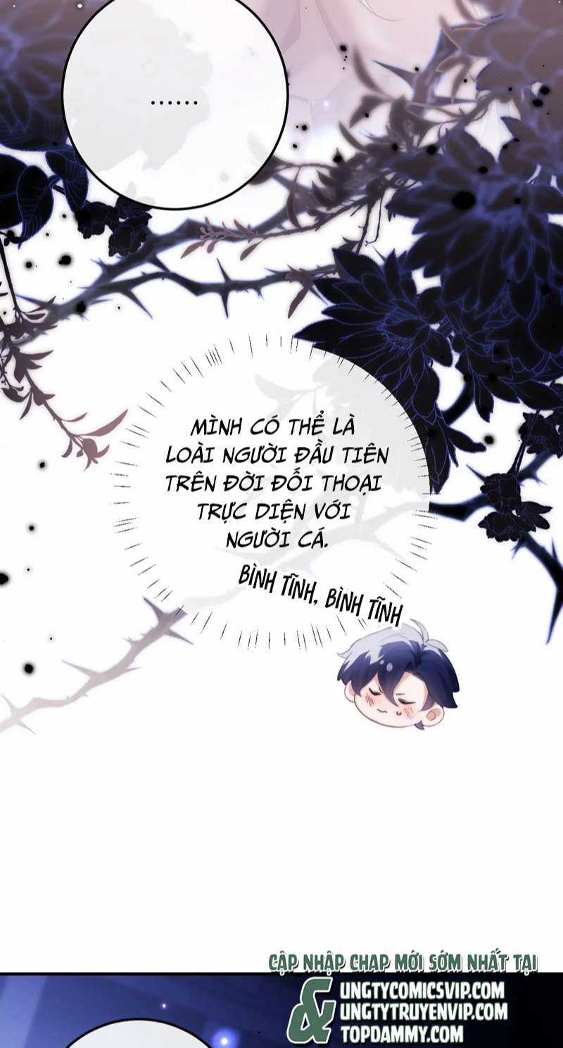 Desharow Nhân Ngư - Chapter 3 - Trang 40