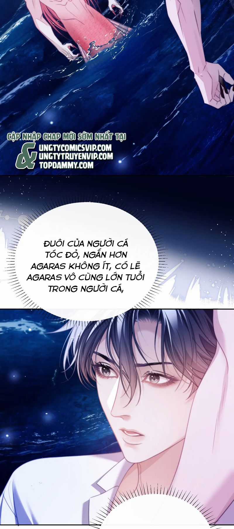 Desharow Nhân Ngư - Chapter 34 - Trang 8
