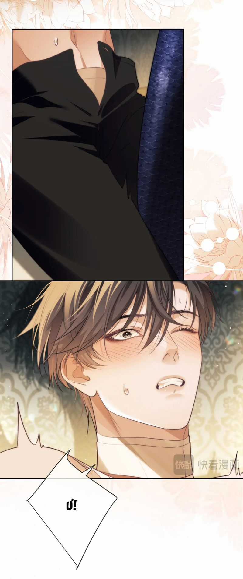 Desharow Nhân Ngư - Chapter 36 - Trang 18