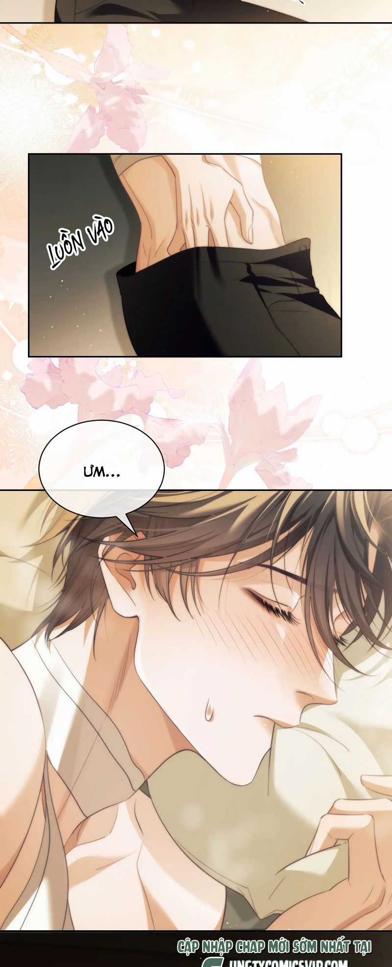 Desharow Nhân Ngư - Chapter 36 - Trang 5