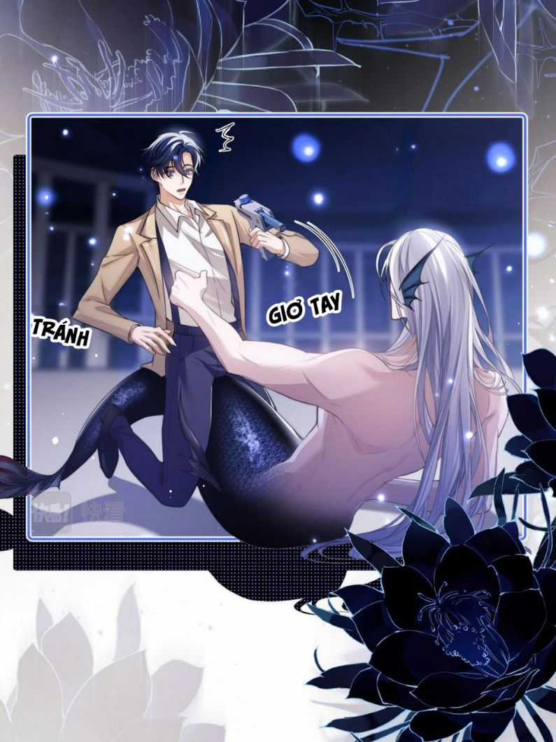 Desharow Nhân Ngư - Chapter 4 - Trang 6