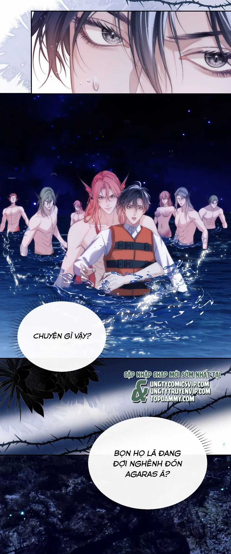 Desharow Nhân Ngư - Chapter 41 - Trang 15