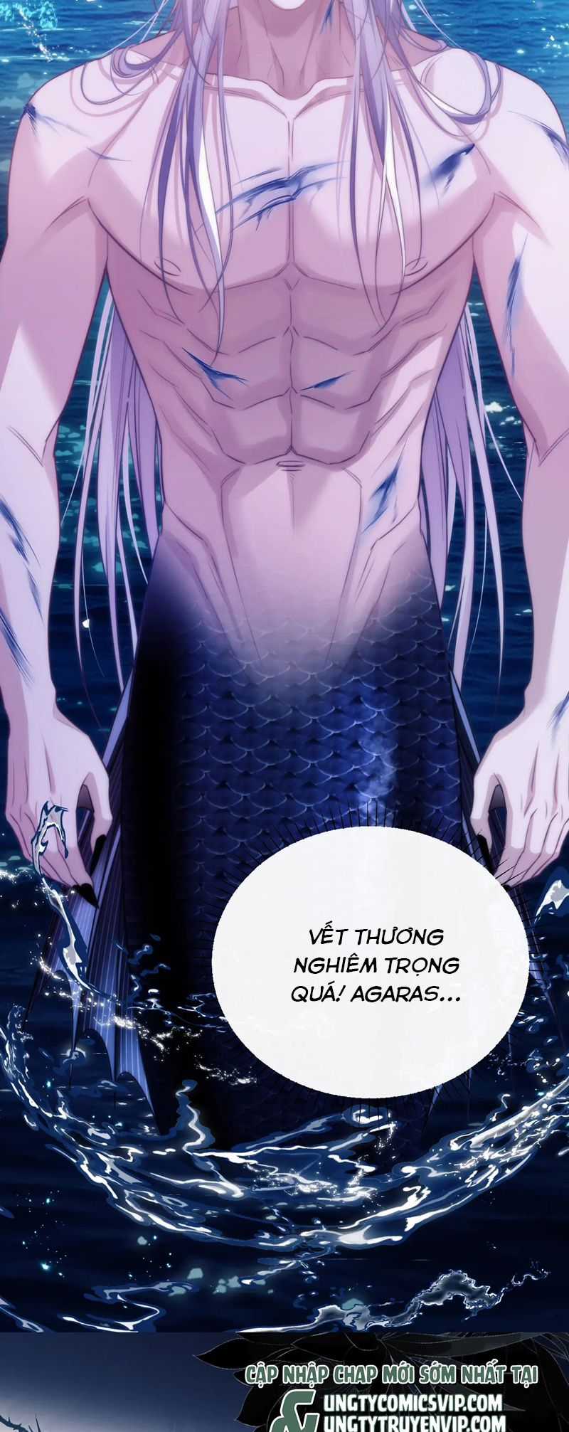 Desharow Nhân Ngư - Chapter 41 - Trang 19