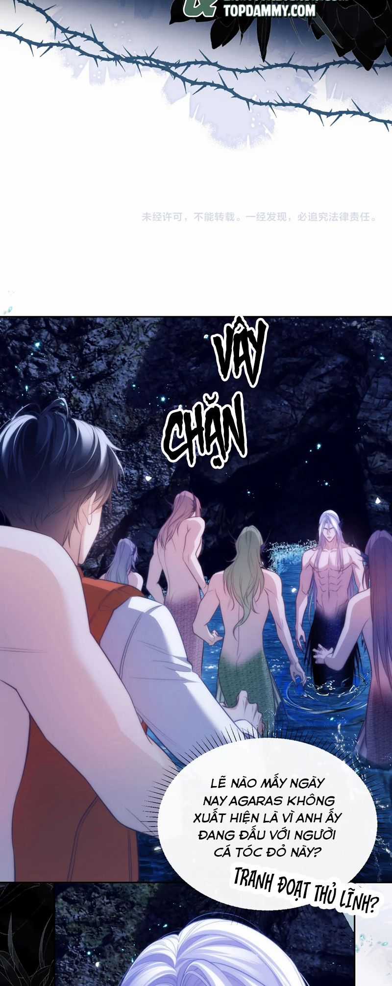 Desharow Nhân Ngư - Chapter 41 - Trang 20