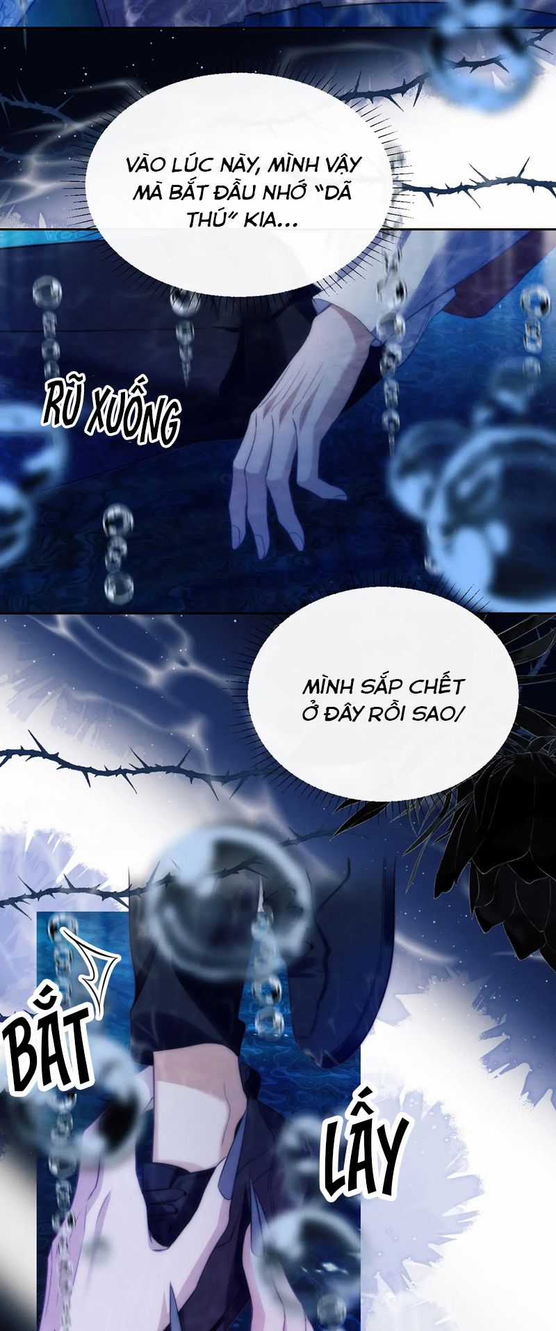 Desharow Nhân Ngư - Chapter 41 - Trang 5