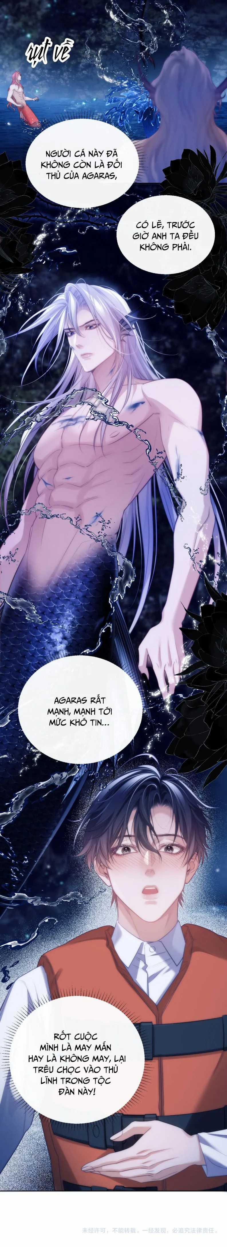 Desharow Nhân Ngư - Chapter 42 - Trang 11