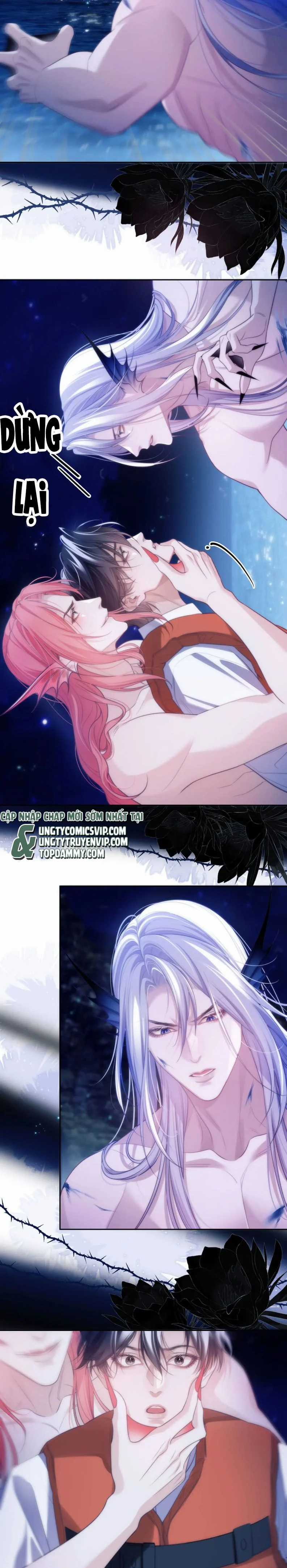 Desharow Nhân Ngư - Chapter 42 - Trang 4