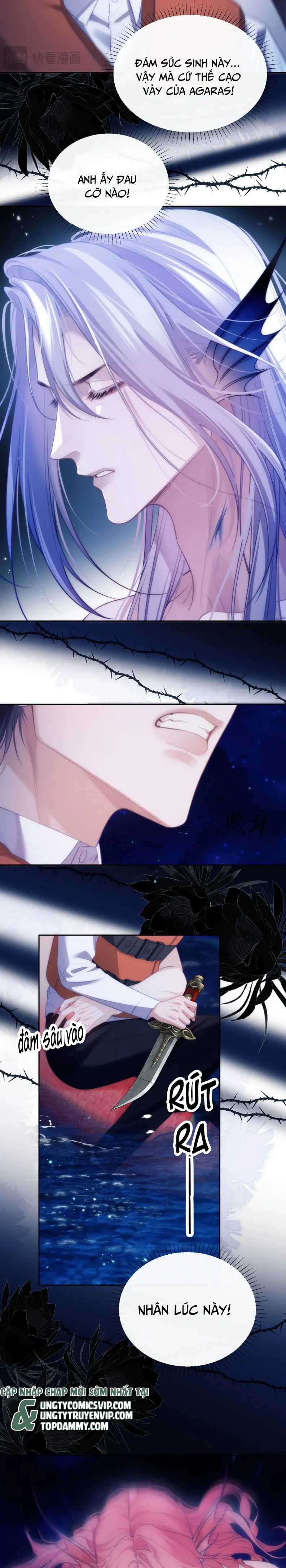 Desharow Nhân Ngư - Chapter 42 - Trang 7