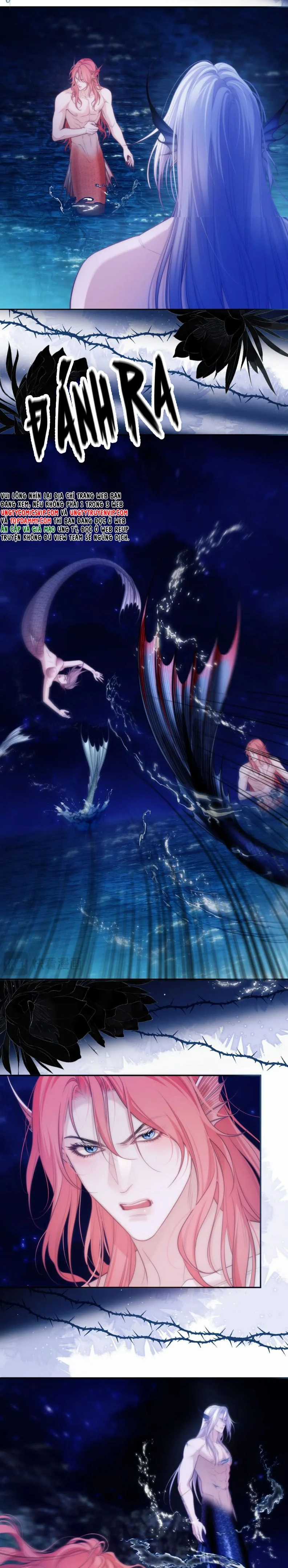 Desharow Nhân Ngư - Chapter 42 - Trang 9